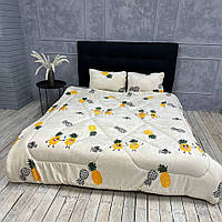 Ковдра Флісова Євро №10, розмір 200х230 см.