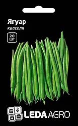 Насіння квасолі Ягуар , 20 шт — рання (60 днів), спаржева Leda Agro