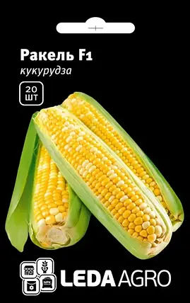 РАКЕЛЬ F1 / RAKEL F1 насіння солодкої кукурудзи, 20 насінин - суперсолодка, біколор, LEDAAGRO, фото 1