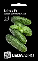 Елітор F1, 10 насінин — партенокарпічний огірок, LEDAAGRO