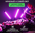 Настільна фітолампа повного спектра на прищіпці, 2 USB LED-фітолампа для рослин і кольорів, фітосвітильник, фото 6