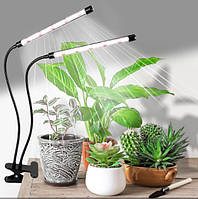 Настільна фітолампа повного спектра на прищіпці, 2 USB LED-фітолампа для рослин і кольорів, фітосвітильник
