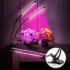 Настільна фітолампа повного спектра на прищіпці, 2 USB LED-фітолампа для рослин і кольорів, фітосвітильник, фото 3