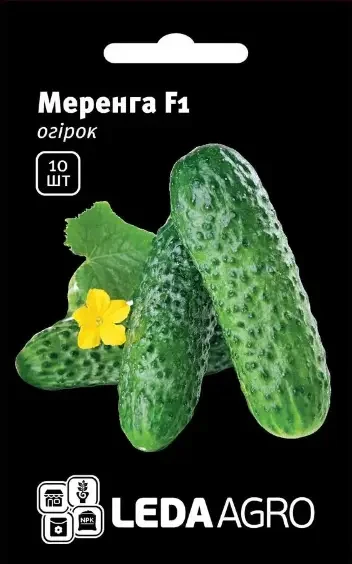 Насіння огірка Меренга F1, 10 насіння — ультраранній гібрид (38-40 днів), партенокарпік, LEDAAGRO