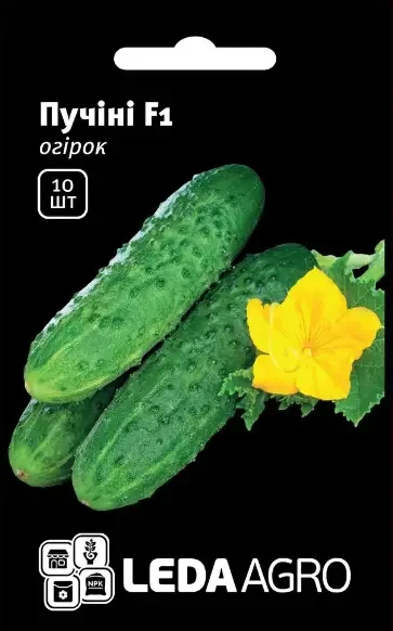 Насіння огірка Пучині F1 , 10 насіння — партенокарпічний корнішон, ранній, LEDAAGRO