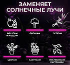 Настільна фітолампа для рослин на прищіпці на 6 гілок USB LED-фітолампа для квітів, фітосвітильник, фото 9