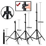 Кільцева лампа 36 см для телефону зі штативом 210см USB AC AC Prof XK-814B-T2, фото 3