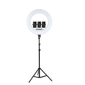 Кільцева лампа 54см LED RL-21 зі штативом 160см AC Prof