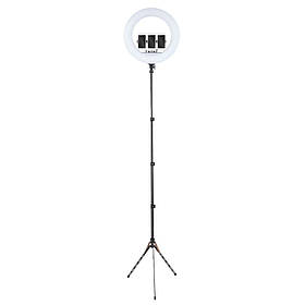 Кільцева лампа 54см LED RL-21 зі штативом 191см AC Prof