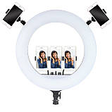 Кільцева лампа 54см LED RL-21 зі штативом 191см AC Prof, фото 3