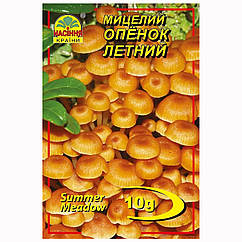 Міцелій Опеньок літній 10 г Насіння країни