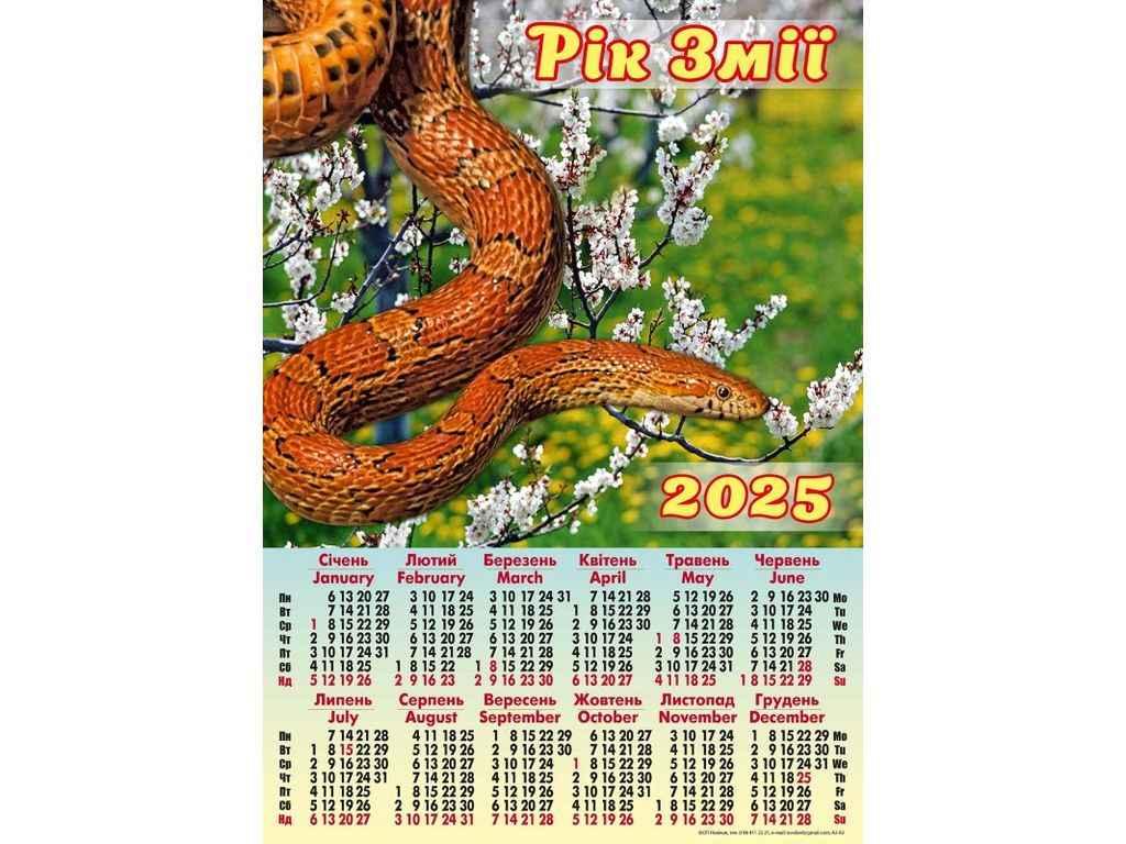 Календар настінний плакат А2 (Змія помаранчева) 2025р. А-02 ТМ Україна
