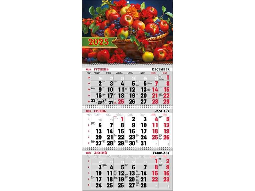Календар квартальний на пружині офісний/домашній на 3пр 2025р. BG3 25-05 ТМ Україна