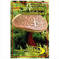 Міцелій Моховик тріщинуватий 10 г Насіння країни