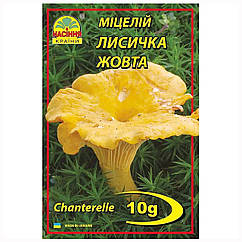 Міцелій Лисичка жовта 10 г Насіння країни