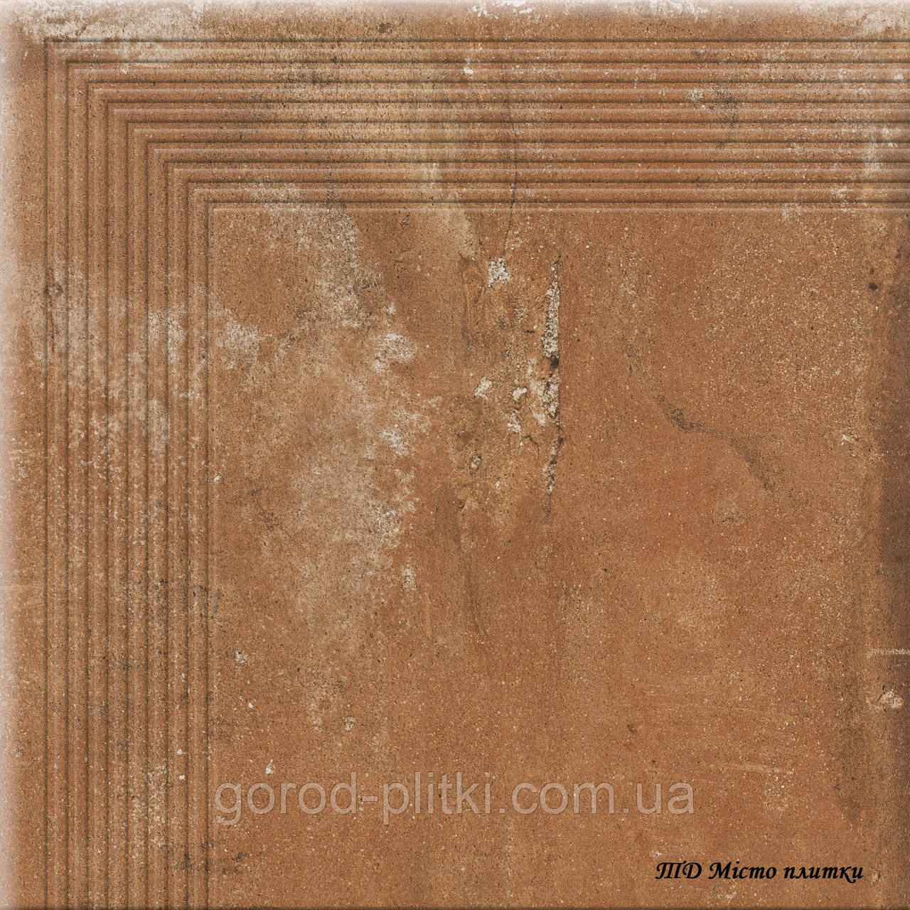 Плитка для ганку з фаскою кутова Piatto Terra 30x30