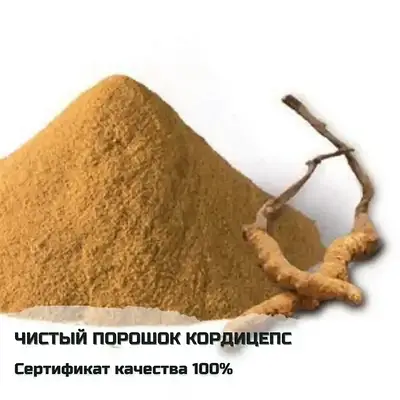 Кордицепс