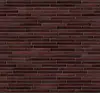 Клінкерна керамічна плитка для фасадів та інтер'єру King crimson (LF17), фото 4