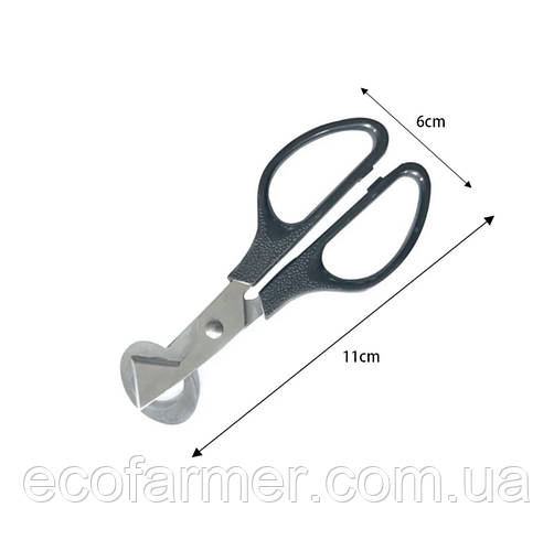 Ножницы для перепелиных яиц (ID#2357607542), цена: 65 ₴, купить на Prom.ua