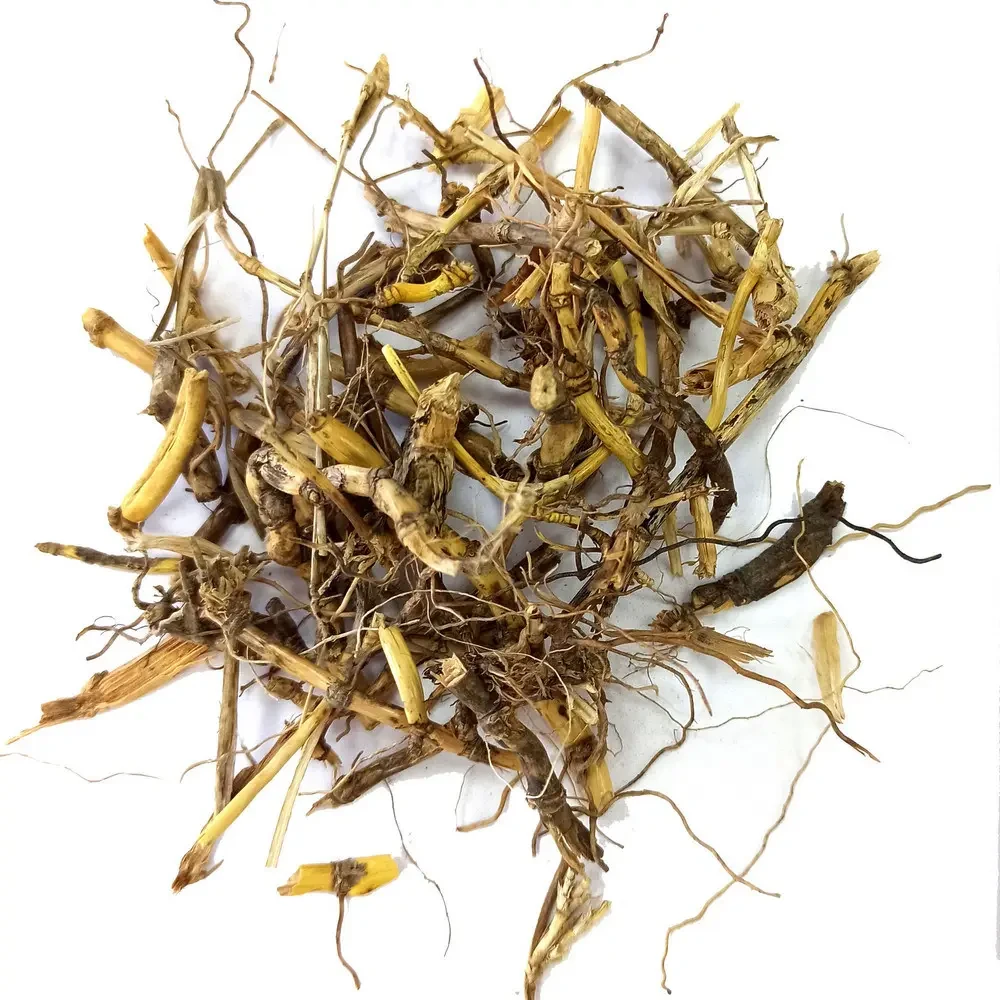 Пирій повзучий корінь 1000 г, фото 1