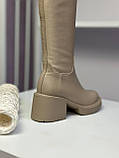 Чоботи жіночі ботфорти натуральна шкіра бежеві демісезонні трендові стрейч на підборах, фото 5