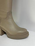 Чоботи жіночі ботфорти натуральна шкіра бежеві демісезонні трендові стрейч на підборах, фото 4