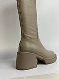 Чоботи жіночі ботфорти натуральна шкіра бежеві демісезонні трендові стрейч на підборах, фото 10