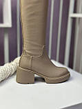 Чоботи жіночі ботфорти натуральна шкіра бежеві демісезонні трендові стрейч на підборах, фото 6