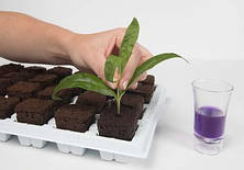 Root Riot Natural Rooting Sponges - Натуральні спонжі для пророщування (100шт в упаковці), фото 4