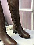 Чоботи жіночі натуральна шкіра байка демісезонні коричневі модні, фото 2