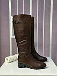 Чоботи жіночі натуральна шкіра байка демісезонні коричневі модні, фото 4