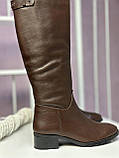 Чоботи жіночі натуральна шкіра байка демісезонні коричневі модні, фото 6