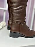 Чоботи жіночі натуральна шкіра байка демісезонні коричневі модні, фото 3