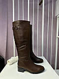 Чоботи жіночі натуральна шкіра байка демісезонні коричневі модні, фото 5