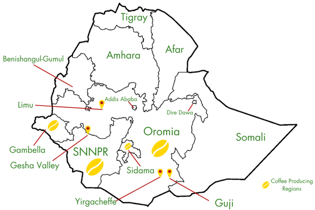 Арабика Эфиопия Йоргачеф 1 кг. Ethiopia Yirgacheffe
