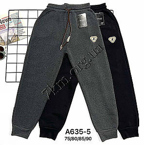 Штани для хлопчиків термо Оптом 6-12 років "R" Золото A635-5