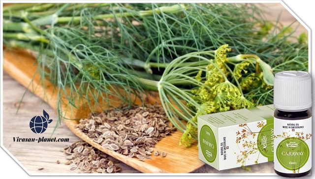 Натуральна ефірна олія Кмин Вівасан Ефірна олія Кмину Вівасан