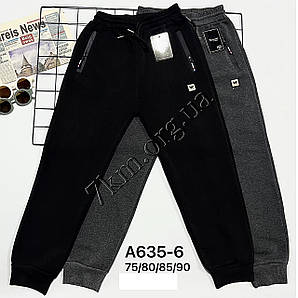 Штани для хлопчиків термо Оптом 6-12 років "W" Золото A635-6