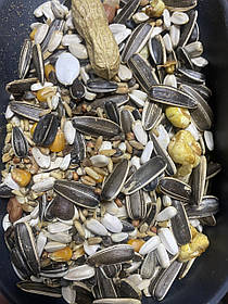 Корм для великих папуг , відро, на вагу 1.3 кг