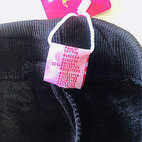 Лосини теплі для дівчат оптом, Taurus, 134-164 см,  № XH-135, фото 7