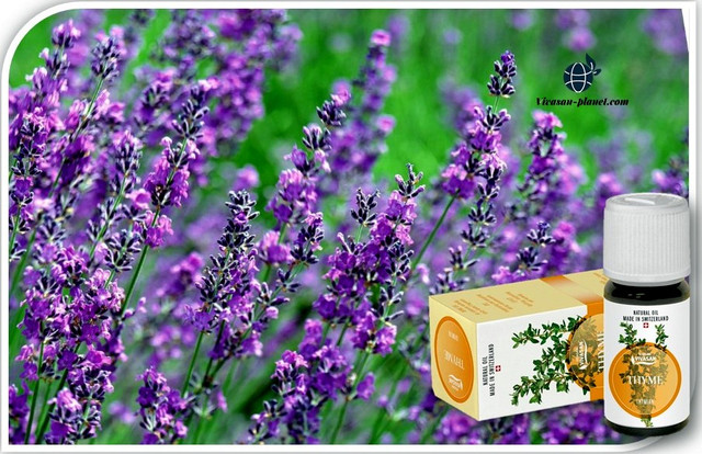 Натуральна ефірна олія Чебрецю Вівасан Ефірна олія Чебрець Вівасан