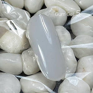 005 Gum Gel 10гр.