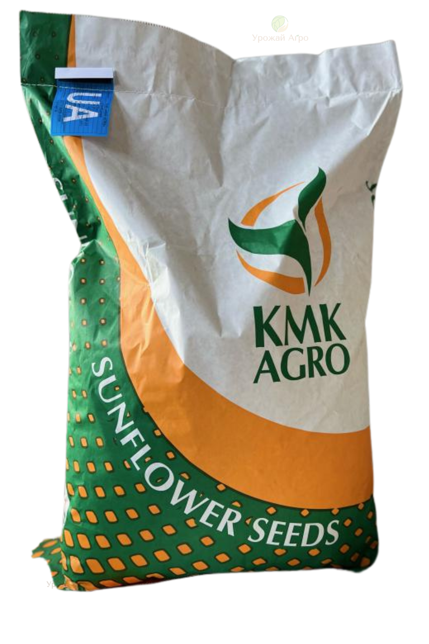 Насіння соняшника Бастер (стандарт+) КМК Агро 2023 рік, фото 1