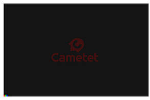 Фарба сіро-чорна NEW HOLLAND (2000- ) 0,75 л (Cametet)