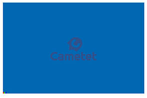 Фарба синя NEW HOLLAND (2000- ) 0,75 л (Cametet)