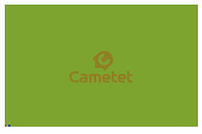 Фарба зелена CLAAS 2,5 л (Cametet) CLAAS [177483.1