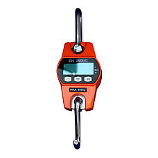 Ваги кранові ЗЕВС I - 300 до 300 кг, фото 2