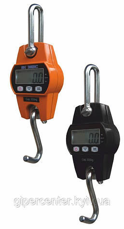 Ваги кранові ЗЕВС I - 300 до 300 кг, фото 1
