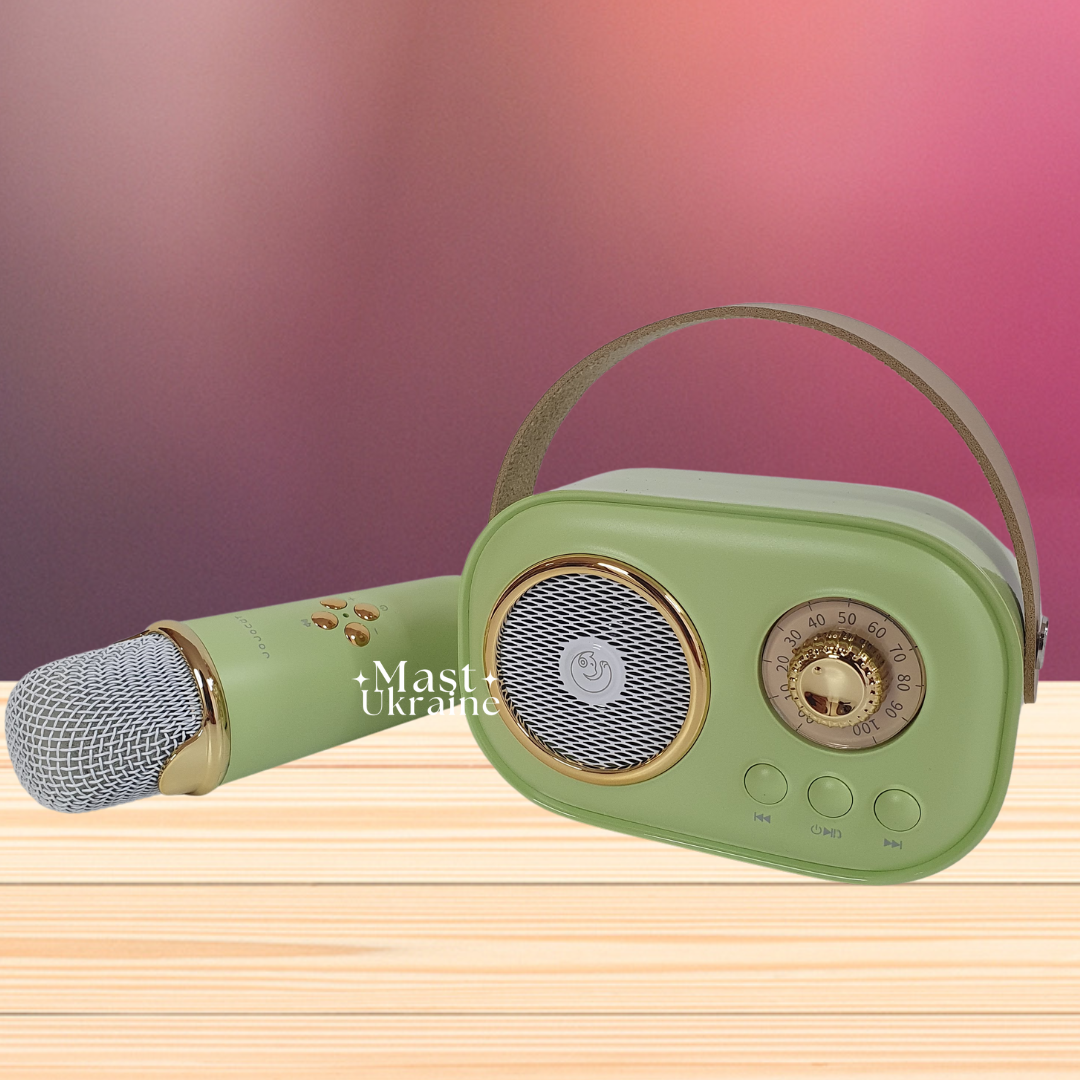 Ретро-караоке із мікрофоном на акумуляторі + колонка Bluetooth RB-399-Green