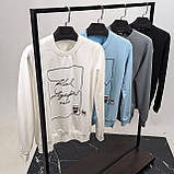 Чоловіча кофта світшот Karl Lagerfeld CK8557 біла XL, XXL, фото 4